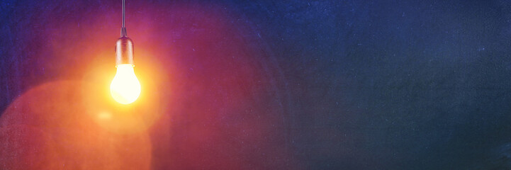 动植物的小知识