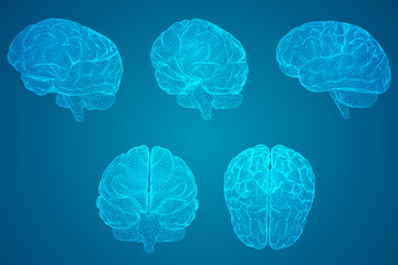 动植物的小知识