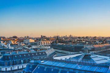 动植物的小知识