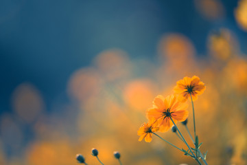 幼儿园固定资产包括哪些