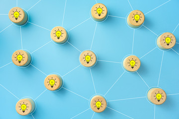 动植物的小知识