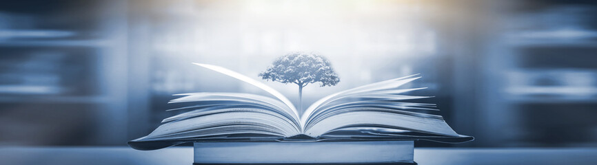 大学课堂如何在书上做好笔记——四色笔记法