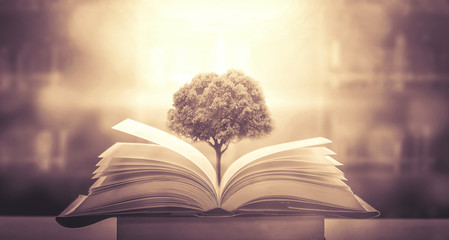 我要将长句改成短句