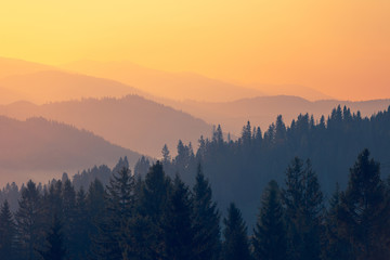 预防传染病手抄报内容