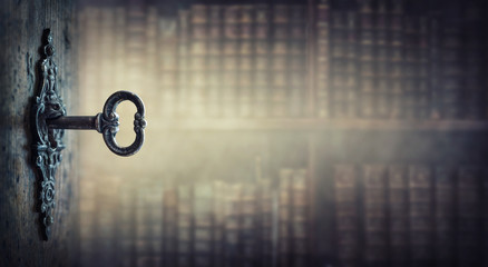 动植物的小知识