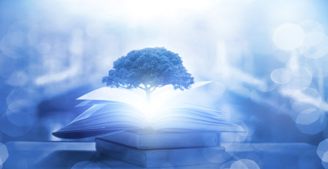 幼儿园固定资产包括哪些