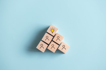 制作叶脉标本的药品 可以用家里的东西代替吗？