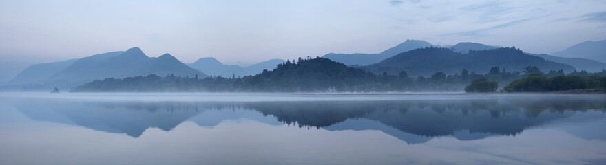 动植物的小知识