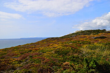 低碳生活有哪些-请举1o个例子