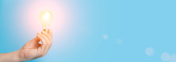 动植物的小知识