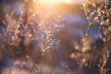 低碳生活有哪些-请举1o个例子