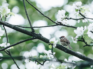 HI元宇宙是哪个公司,元宇宙公司是什么意思