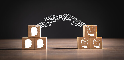 动植物的小知识