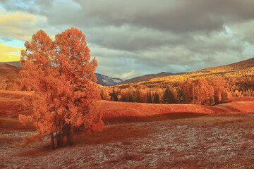 预防传染病手抄报内容