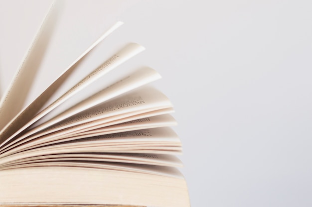 动植物的小知识