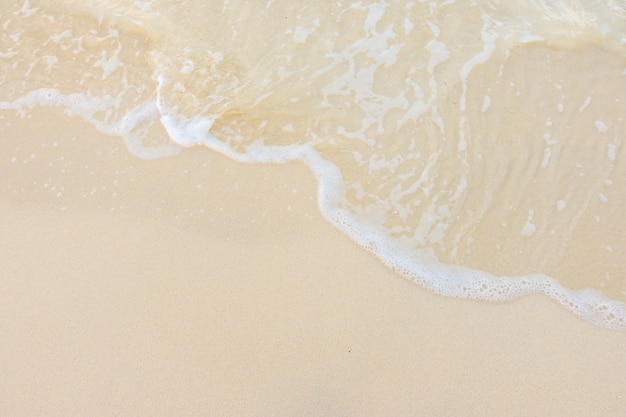 制作叶脉标本的药品 可以用家里的东西代替吗？