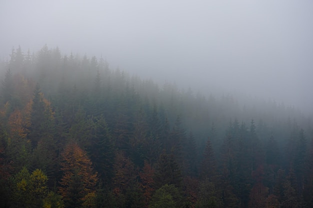 -首位山水诗人谢灵运的人生悲剧：不知收敛而被杀