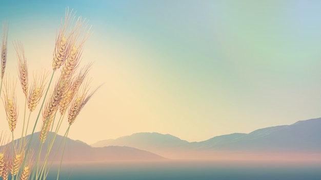 怎样研究消费者的购买心理？