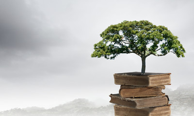 制作叶脉标本的药品 可以用家里的东西代替吗？