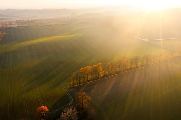 大学课堂如何在书上做好笔记——四色笔记法