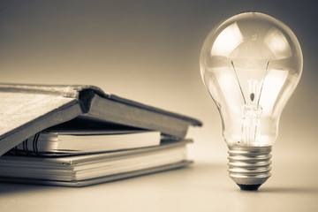 制作叶脉标本的药品 可以用家里的东西代替吗？