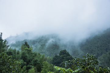 HI元宇宙是哪个公司,元宇宙公司是什么意思